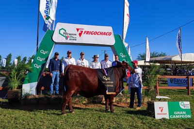 Gran campeona Santa Gertrudis RP 6881